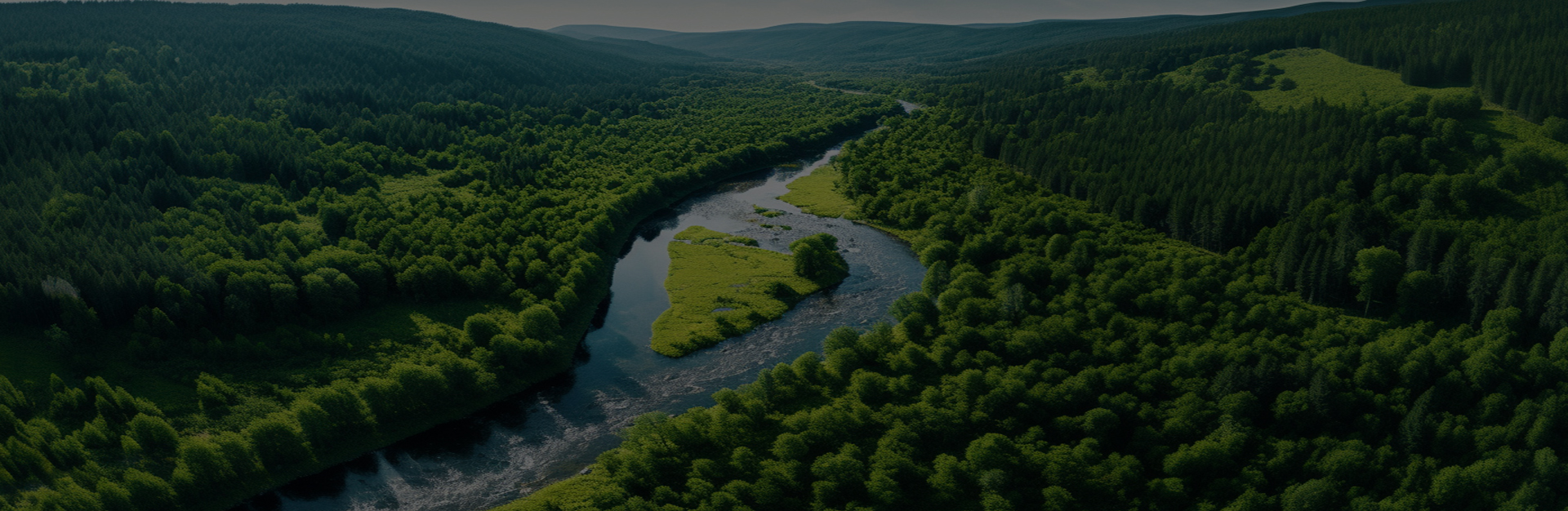 嘉興鼎実機械製造有限公司